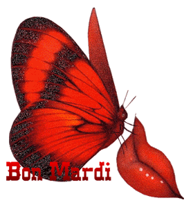 Gif animé Bon mardi papillon